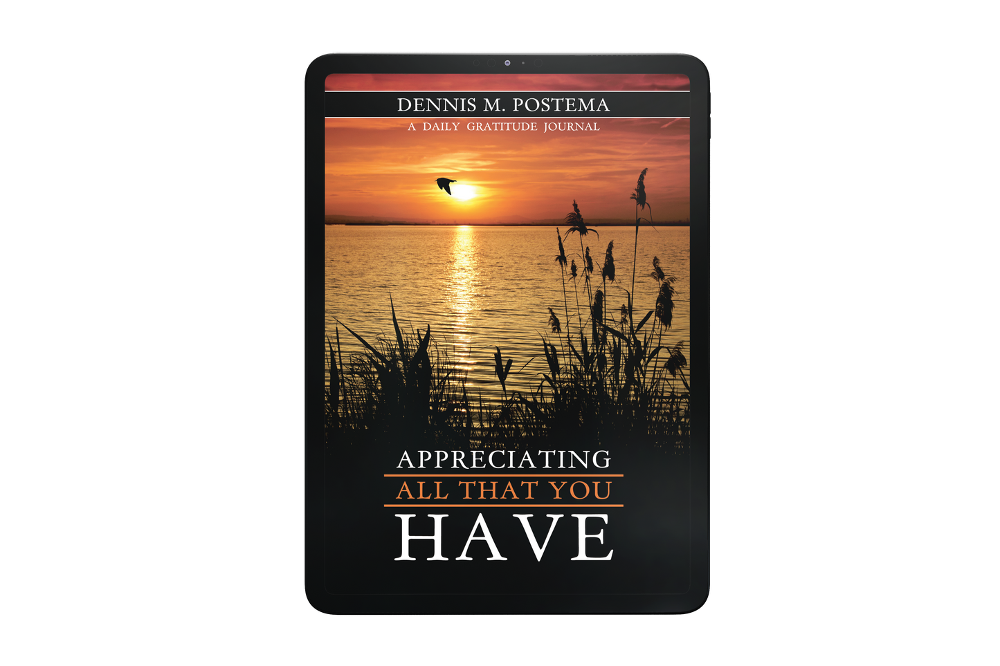 Appreciating All That You Have