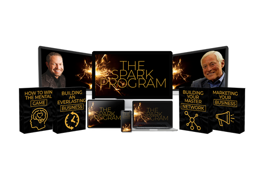 SPARK: The Key to Igniting Radical Change in Your Business